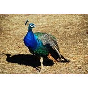 Loretta Thirtyacre's photo