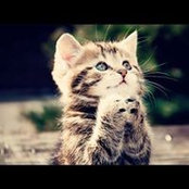 Paul Devlin's photo