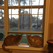 Donna Parsons's photo
