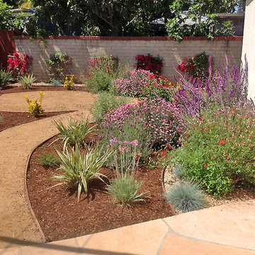 Drought Tolerant Backyard Design