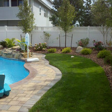 Backyard/Pool