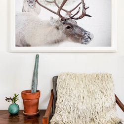 Fine Art Photography Prints - Photographs
