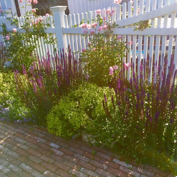 Perennial Border