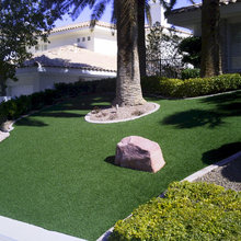 Front yard