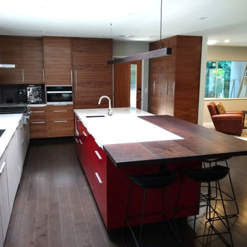 Home Remodel - Custom Cabinets | Lauw House - Point Loma
