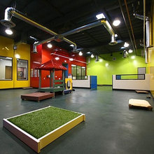 CANINE CLUBHOUSE
