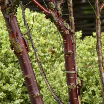 jardin en normandie