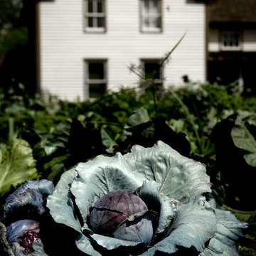 Gardens