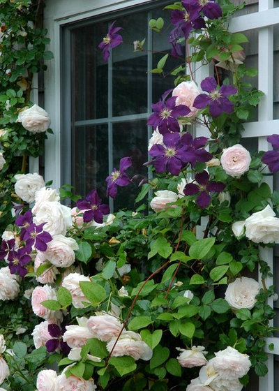   by MJ McCabe-Garden Design