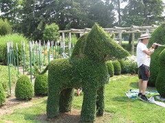 Green Animals Topiary Gardens, Portsmouth, RI June 2012