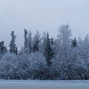Beth Sandholm's photo