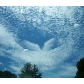 Wendy Hiley's photo