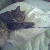 Photo de Walter Kitty