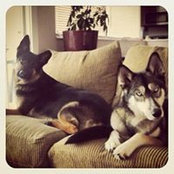 Briana Hunt's photo