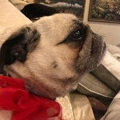 Melissa Van Wagenen's photo