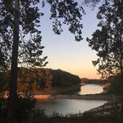 Anna Whatley's photo