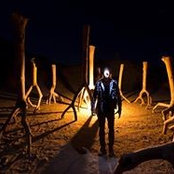 Steve Shigley's photo