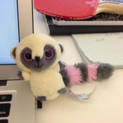Xiaolin Wang's photo