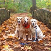 Lisa Markin's photo