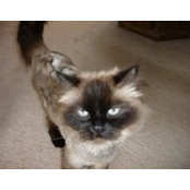 Doreen Musson's photo