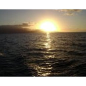 Gloria Mathews's photo