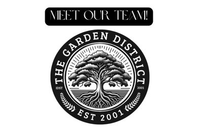 TEAM MEMBERS