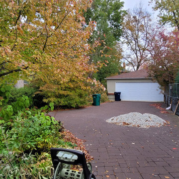 Rescued Landscape