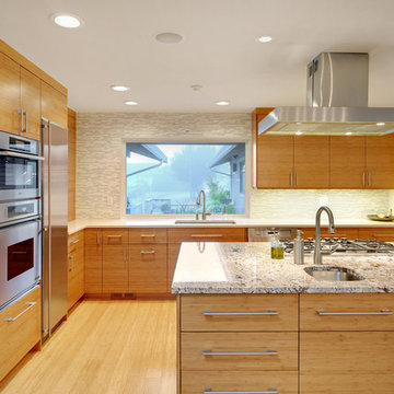 Renton Remodel