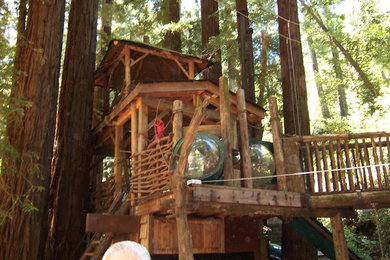 Creative spaces in the Redwoods