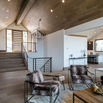Aspen, Colorado Rustic Modern Home-Cobalt White Oak