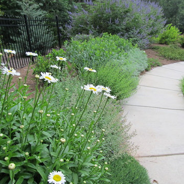 Perennial Garden