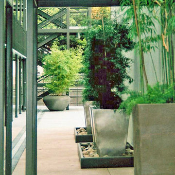 Green City Lofts