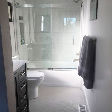 Mid-Century Modern Home Bathroom Reconfigure