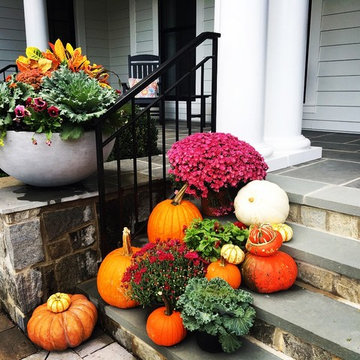 Fall Container Garden Design