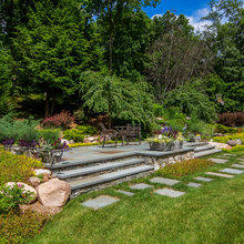 Back Part Of The Yard
