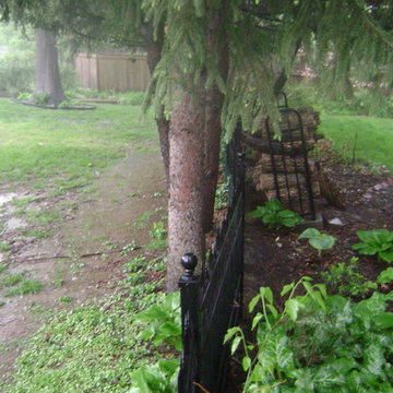 DIY Landscape - Woodland or Shade Gardening