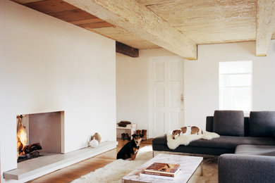 Living room - mid-sized contemporary enclosed dark wood floor, brown floor and exposed beam living room idea in Charleston with white walls, a standard fireplace, a stone fireplace and no tv