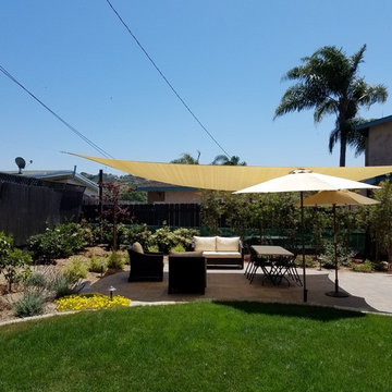 Bay Park refresh