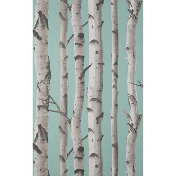 Chester Aqua Birch Trees Wallpaper Sample