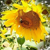 Donna Colucci's photo