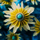Stefanie Burger's photo