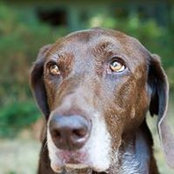 Julie Fowells's photo