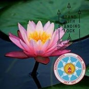 Virginia Amaral's photo