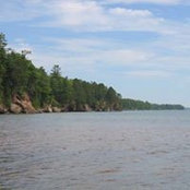 Lia Reich's photo
