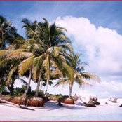 ddowdells foto
