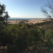 Amanda Gallagher's photo