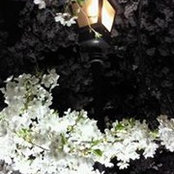 矢野美文さんの写真