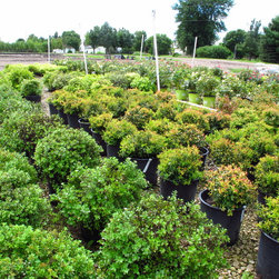 PLANT MATERIALS - Products