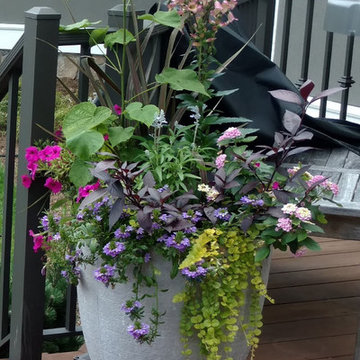 Fabulous Container Gardens