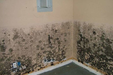 Mold Remediation in Fairfield, OH